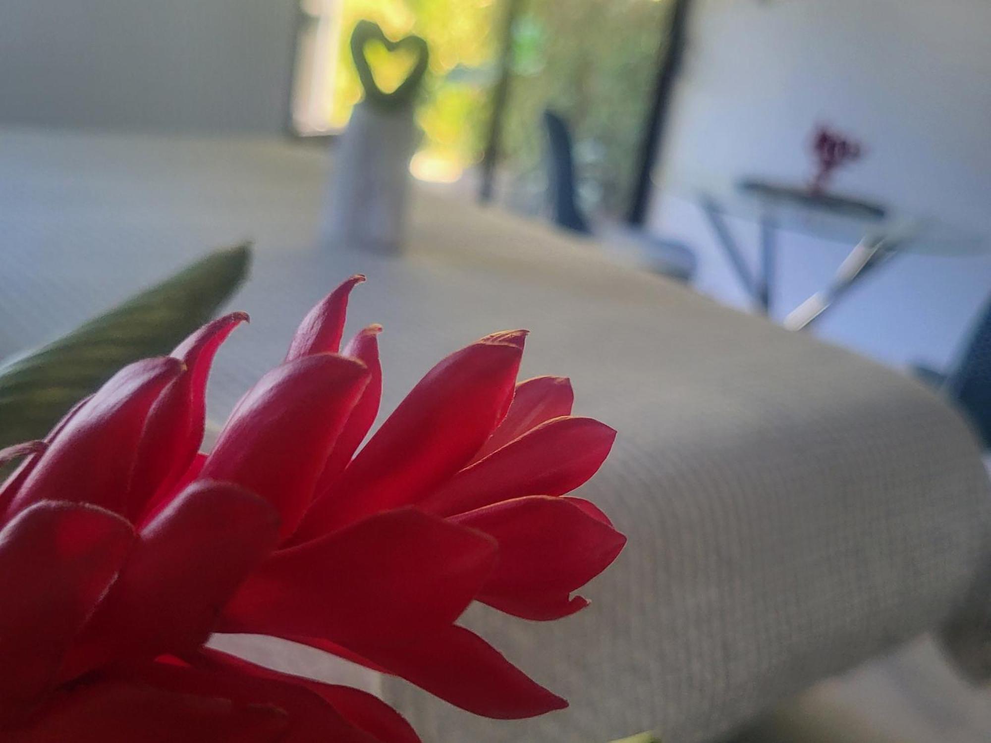 Bed and Breakfast Madre Terra Увита Экстерьер фото